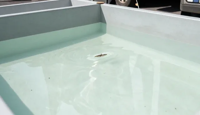 水产品加工中病害防控的科学实践路径